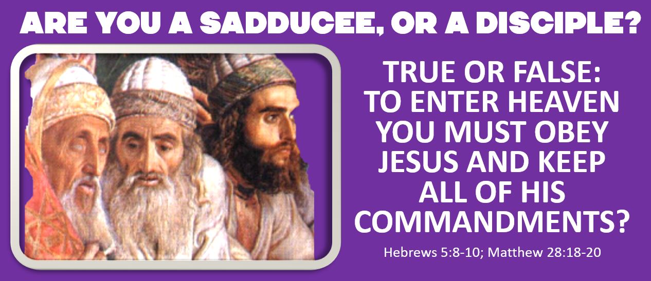 sadducees or disciples